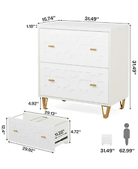 Rainsken 2-Drawer Lateral File Cabinet for Legal/Letter/A4 Size