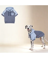 Aronkl Dog Hoodie Stretchy Warm Pet Sweatshirt with Leash Hole Soft Comfort Winter