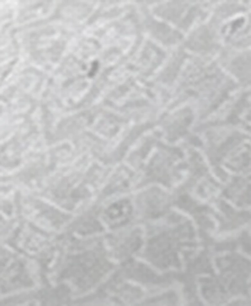 Karl Lagerfeld Paris Men's Glitz Medallion Pre-Tied Bow Tie