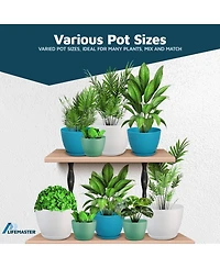 Lifemaster Multicolor Plant Pots Pack with Drainage Holes & Saucers