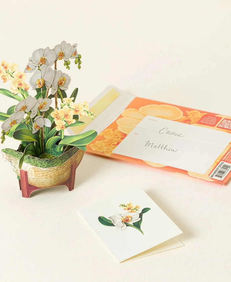 Uncommon Goods A Year of Flowers Pop-Up Greeting Card Set, 12 Count