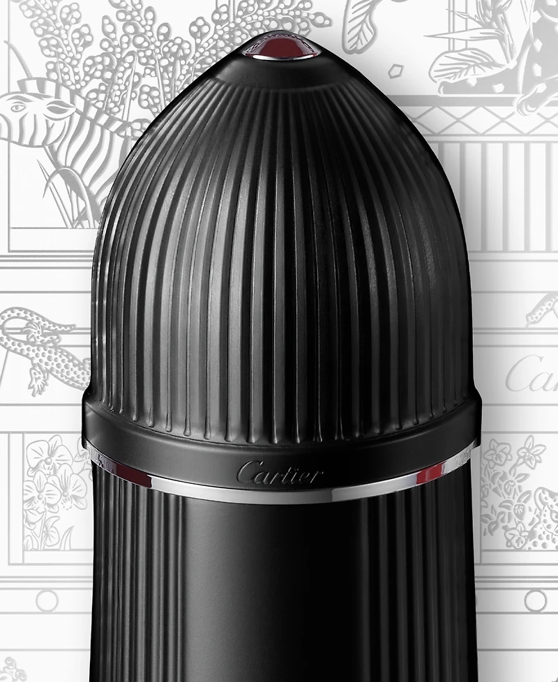 Cartier 2-Pc. Pasha Edition Noire Eau de Toilette Gift Set