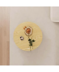 Rainsken Modern Circular Coffee Table, 29.53" Center Table with Pedestal, Round Stripe and Concealed Storage for Living Room