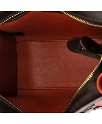 Pre-Owned Celine Nano Tricolor Luggage Bag Leather