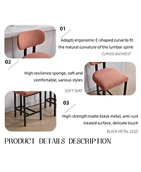 Rainsken Modern Bar Stools Set of 2