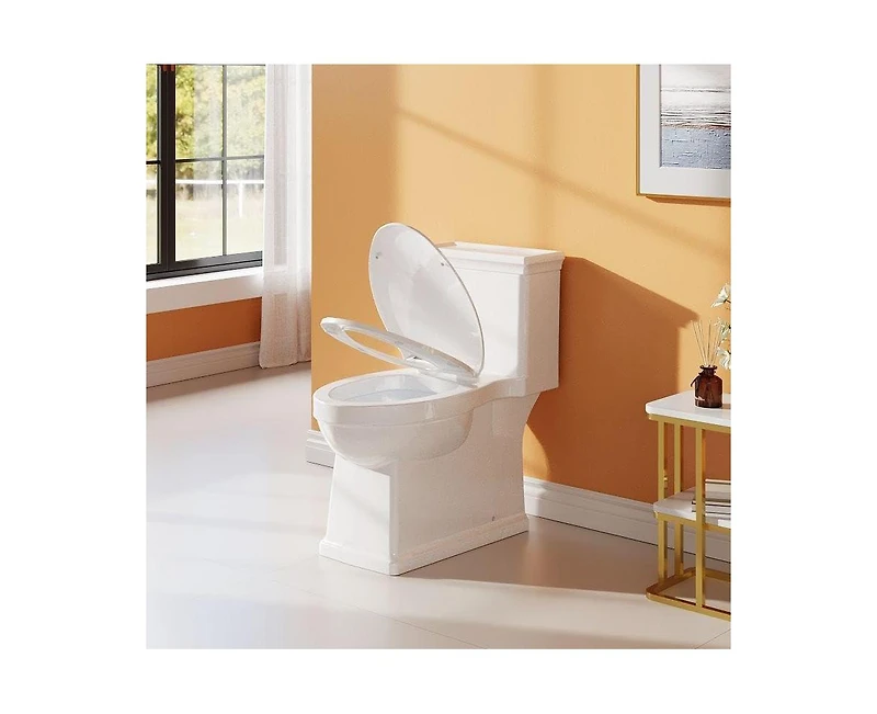 gaomon One Piece Toilet for Bathroom, Elongated Toilet with Left-Hand Trip Lever, Dual Flush 0.8/1.28 Gpf, Soft-Close Seat