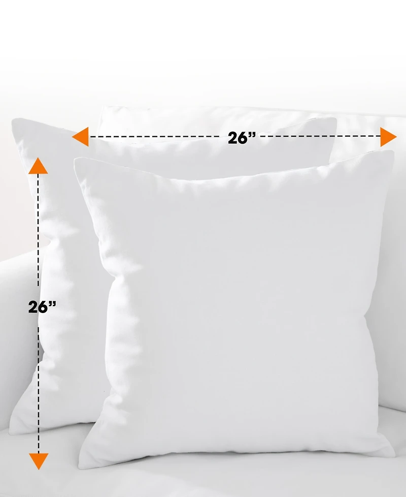 Cheer Collection 2-Pack Pillows, European