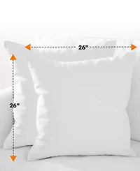 Cheer Collection 2-Pack Pillows, European