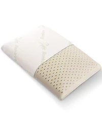 Cheer Collection Latex Pillow, 15.7" x 23.6"