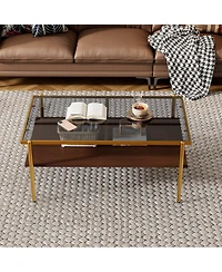 Rainsken Rectangle 2 Tier Coffee Table, Center Table with Tempered Glass Top and Wood Storage Shelf for Living Room and Small Space