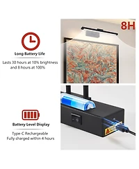 Busdays 16in Rechargeable Battery Picture Light with Remote, Dimmable Led Art Wall Sconce
