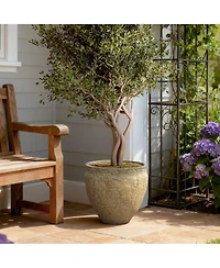 LuxenHome Dia Concrete Large Round Planter Pot, Rustic Textured Pot with Drainage Hole, Indoor Outdoor Plant Pot for Home Garden Patio