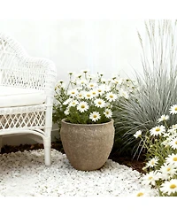 LuxenHome Dia Concrete Large Round Planter Pot, Rustic Textured Pot with Drainage Hole, Indoor Outdoor Plant Pot for Home Garden Patio