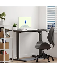 FlexiSpot EC2 40"x24" Electric Height-Adjustable Standing Desk