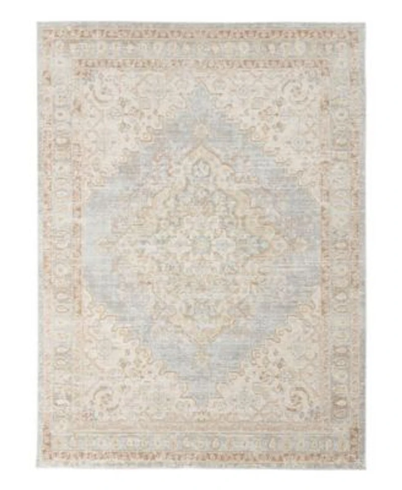 Amer Rugs Century Cen 11 Gray Ivory Area Rug Collection