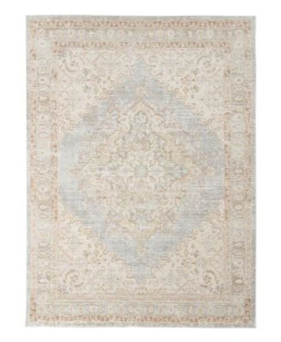 Amer Rugs Century Cen 11 Gray Ivory Area Rug Collection