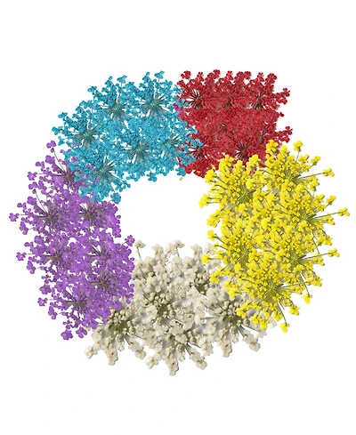 Gnuadz Dried Pressed Flowers Lace Set, 60 Pc. Craft Decor