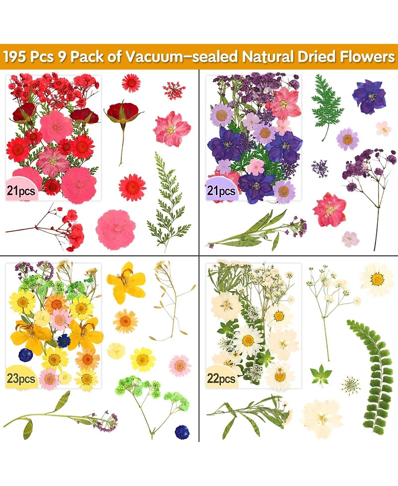 Gnuadz 235 Pcs Pressed Dried Flowers Bulk Dry Molds Candles Diy Art Making Tweezers Butterfly Stickers Set