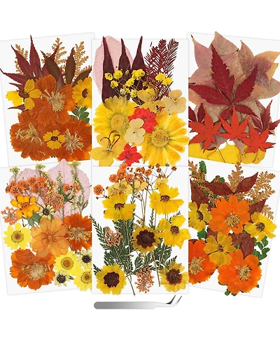Gnuadz 100+ Real Dried Pressed Flowers Leaves Florals Tweezer Candle Scrapbooking Thanksgiving Gift