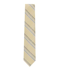 Calvin Klein Men's Gaze Plaid Classic Tie