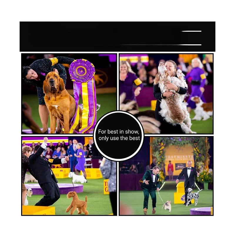 Aronkl Slicker Dog Brush Stainless Steel Pins Beechwood Handle Lightweight Groom Like Pro