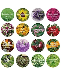 Gnuadz 16 Bags Dried Flowers Herbs Kit Soap Candle Bath Rose Petals
