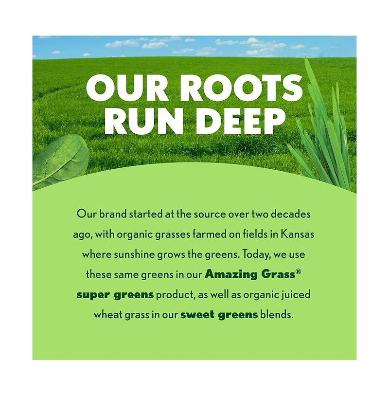 Amazing Grass Grass, Greens Blend Superfood, 1.76 lb, 100 Servings