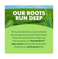 Amazing Grass Grass, Greens Blend Superfood, 1.76 lb, 100 Servings