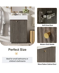 Sillysis Bathroom Vanity with Ceramic Sink, Mdf Cabinet, Soft Close Door and Tissue Holder for Small Spaces