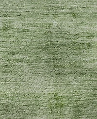 Addison Mayfield AMF1884 2'3" x 7'6" Runner Area Rug