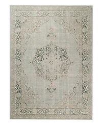 Amer Rugs Century Cen-21 Aqua 5'3" x 7'3" Area Rug