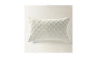 Z Gallerie Checker Velvet Lumbar Pillow