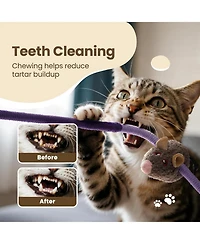 Nocciola 3 Pack Cat Chew Ropes with Cat Herb Filling Rats, Strong Braided Ropes and Gall Fruits, Natural Stimulation for Cats