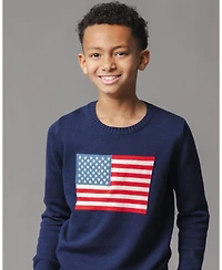 Hope & Henry Baby Boys Organic Crew Neck Flag Sweater