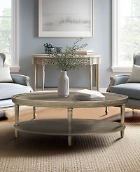 Martha Stewart Collection Ayanna 48" Wood Oval Coffee Table with Shelf
