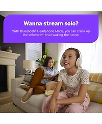 Roku Streaming Stick Plus 2 Pack