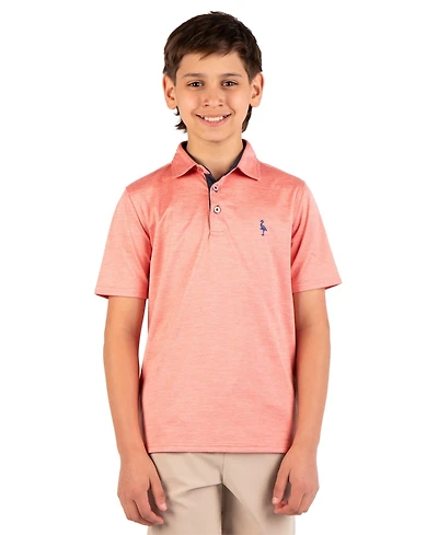 Tailorbyrd Boys Melange Mesh Performance Polo