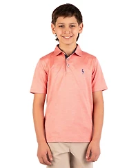 Tailorbyrd Boys Melange Mesh Performance Polo
