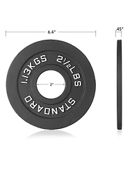 Philosophy Gym Set of 2 Standard Cast Iron Olympic 2-inch Weight Plates ( Lb each