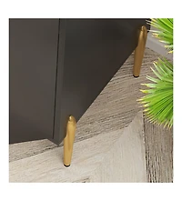 Flynama Black Home Cabinet with Adjustable Shelf