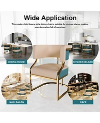 Rainsken Modern Dining Chairs Set of 2