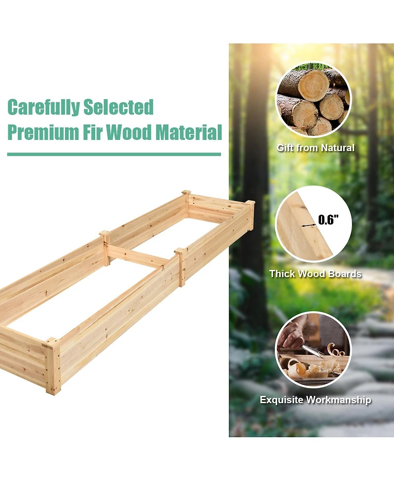 Gouun Fir Wood Raised Garden Bed with Divider, Open Bottom Planter Box