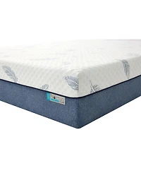 Noctua Tern 12" Hybrid Firm Tight Top Mattress