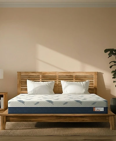 Noctua Wren 12" Zoned Hybrid Cushion Firm Tight Top Mattress