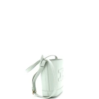 Pre-Owned Celine Small Cuir Triomphe Bucket Bag Leather