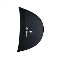 Westcott 50" Recessed Mega Js Apollo