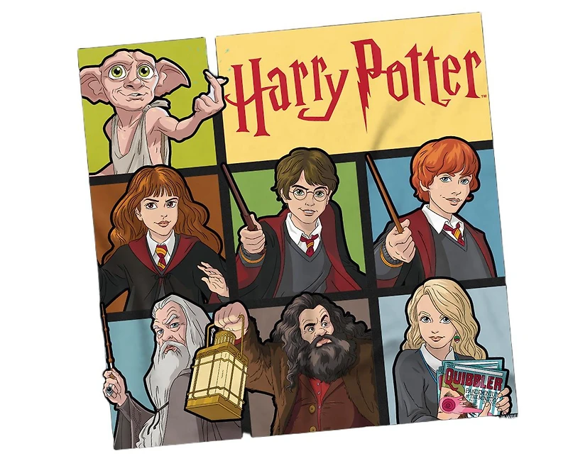 Harry Potter Men's Heroes Of Hogwarts T Shirt