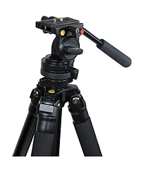 Celestron Regal Premium Tripod, 8.8lbs Capacity, 68.75" Maximum Height, Two-Way Fluid Pan Head