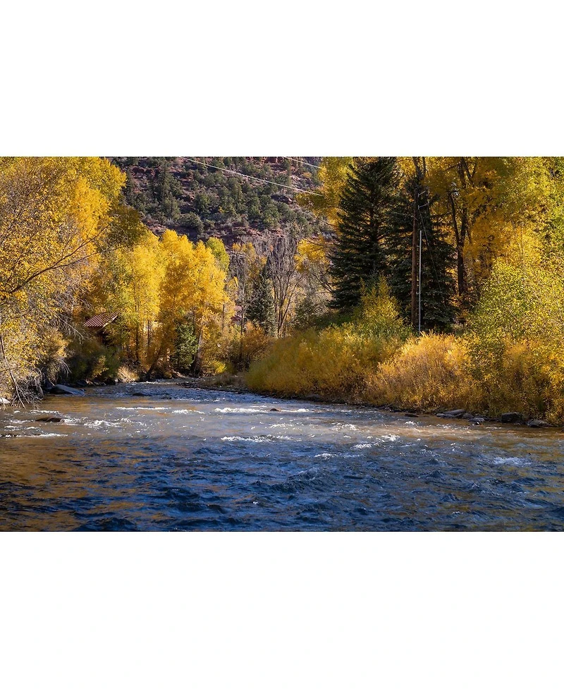 Hoya 49mm Hd Mkii Irnd Neutral Density Filters Kit