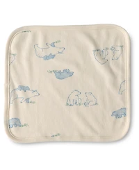 Carter's Baby Boys' Bear Terry Washcloths, 6-Pack